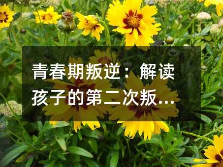 青春期叛逆:解读孩子的第二次叛逆期