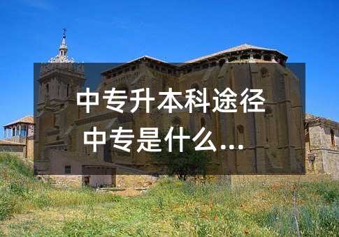 ��ר������;�� ��ר��ʲôѧУ