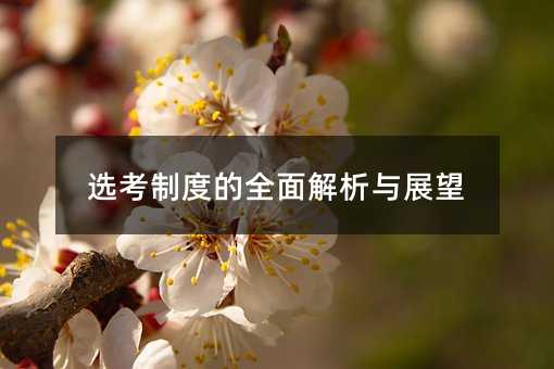 选考制度的全面解析与展望
