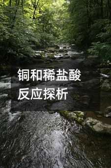 铜和稀盐酸反应探析