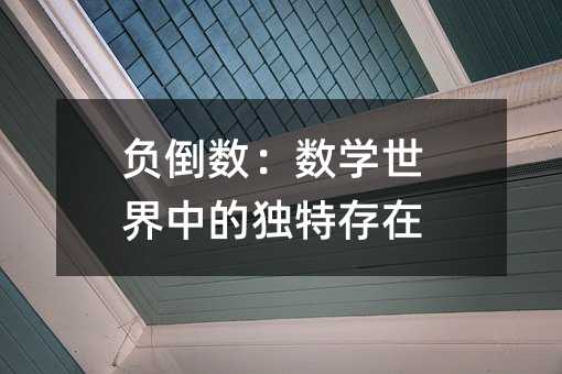 负倒数:数学世界中的独特存在