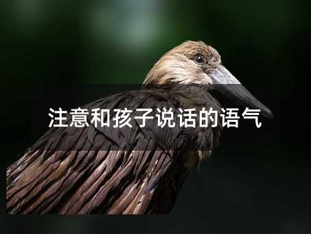 注意和孩子说话的语气