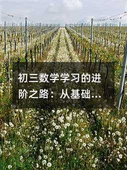 初三数学学习的进阶之路:从基础到思维的蜕变