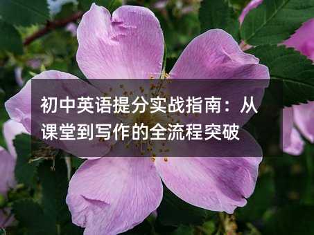 Ӣʵսָϣӿõдȫͻ