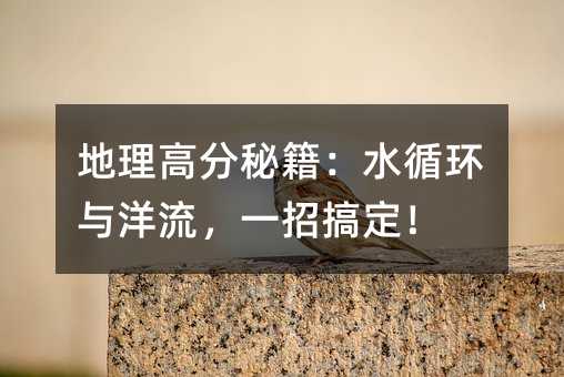 地理高分秘籍:水循环与洋流,一招搞定!