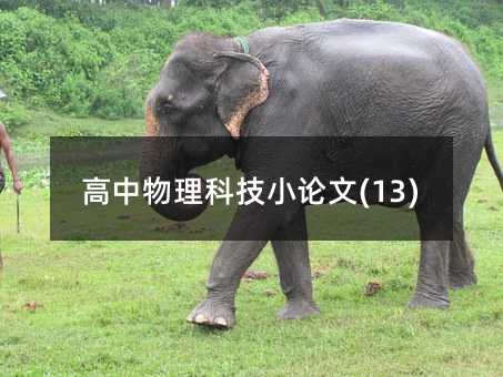 高中物理科技小论文(13)