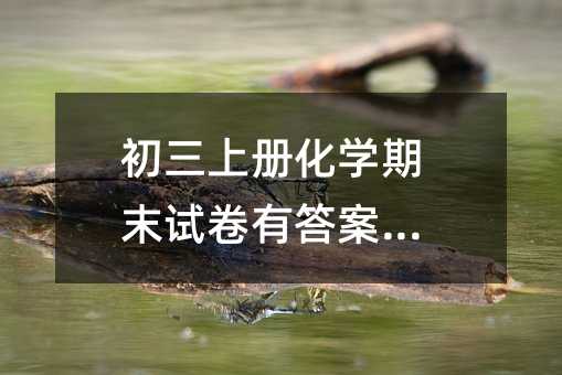 初三上册化学期末试卷有答案(2)