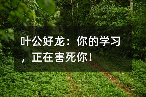 叶公好龙:你的学习,正在害死你!