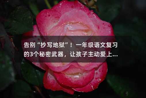 𡰳дһ꼶ĸϰ3úѧϰ