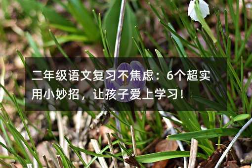 꼶ĸϰǣ6ʵСУúӰѧϰ