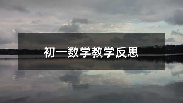 初一数学教学反思