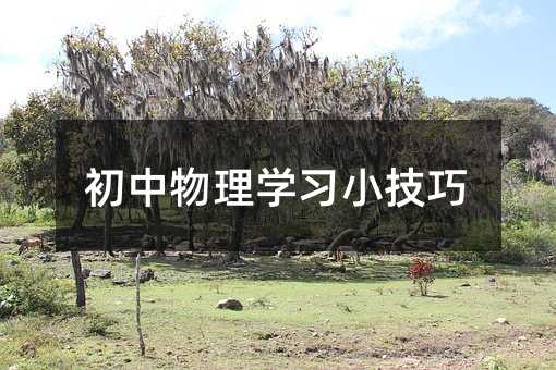 初中物理学习小技巧