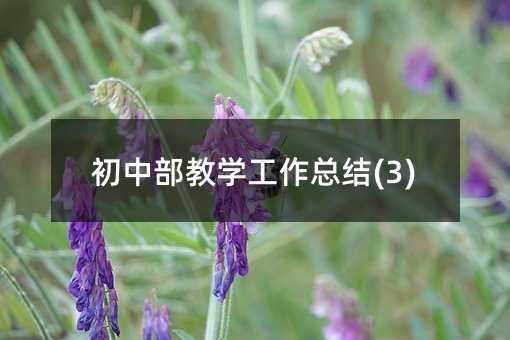 初中部教学工作总结(3)