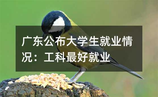 广东公布大学生就业情况:工科最好就业
