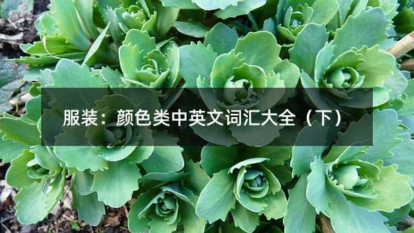 ��װ����ɫ����Ӣ�Ĵʻ��ȫ���£�