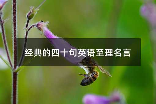 �������ʮ��Ӣ����������