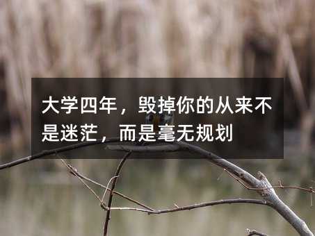 大学四年,毁掉你的从来不是迷茫,而是毫无规划
