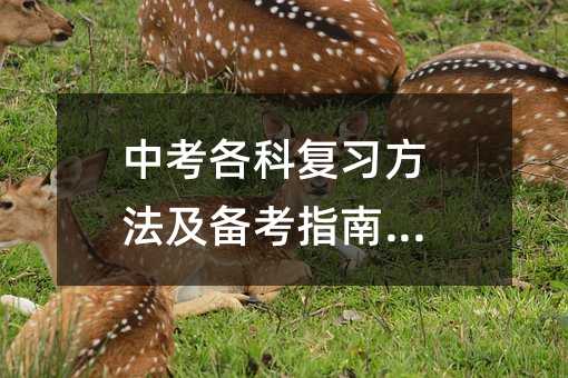 中考各科复习方法及备考指南(2)