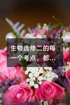 ����ѡ�޶���ÿһ�����㣬���Ƕ������߼����ռ���η
