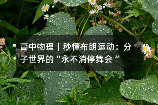 �����������붮�����˶�����������ġ�������ͣ��ᡰ