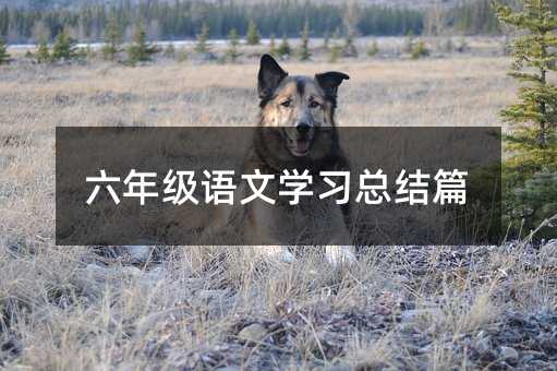 六年级语文学习总结篇