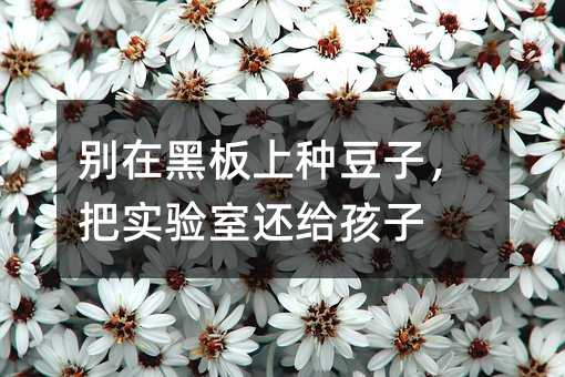 别在黑板上种豆子,把实验室还给孩子