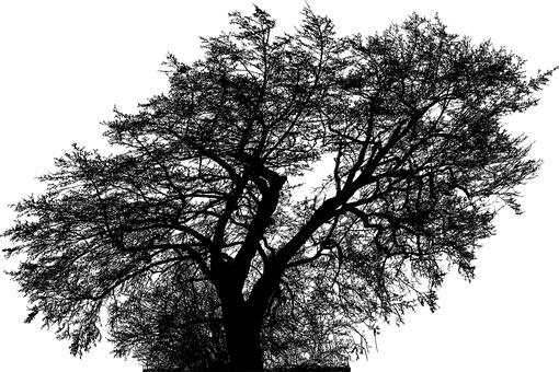 ���ڸ��ٽ�ѧ���ܽ�