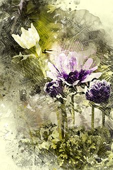 ̽Ѱ������ѧ����ѡ��Ŀ�ѧ·��