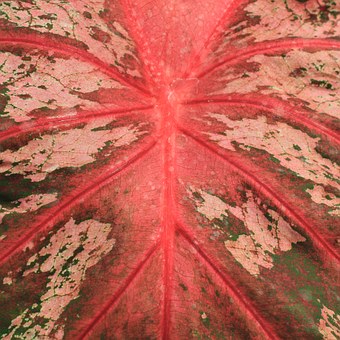 ������������������ͺ��Ӽ����ͨ������