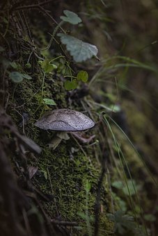 ���꼶��ѧ�����������������ܿ���Щ�ӣ����Ӳ�����������