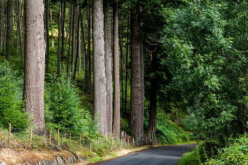 Сѧ��ѧ����Ȧ�⡱�����ƣ�3�������ú������������