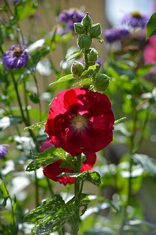 ������ѧ����Ҫ�Ĺ���