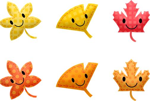 ѧϰӦ��ѭ�򽥽�