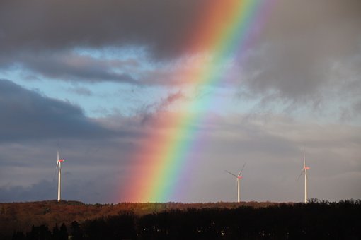 归根与求真:在新课标指引下重塑语文课堂的生命质感