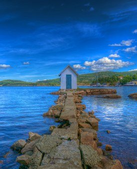 �׽���ָ�㣺����ѧ��ѧϰ�ر����ĸ�����