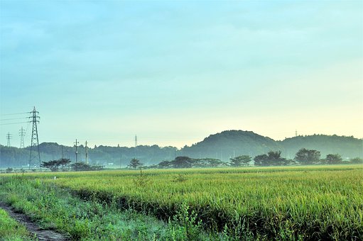 ��ͥ�����и�ĸ����Ӧ��ȱϯ