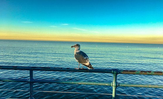 辅导初中数学,学会这招“拆解法”,孩子才能真正开窍