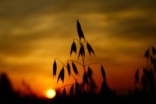 3����ѧӢ���Լ��̻����Ͳ�ϰ�� �ҳ������һ